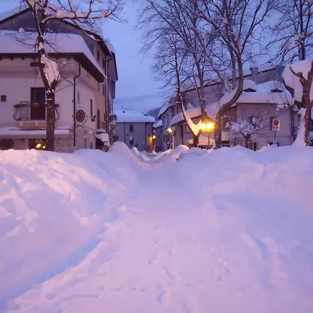 住宿加早餐酒店 Dulcamara 罗马